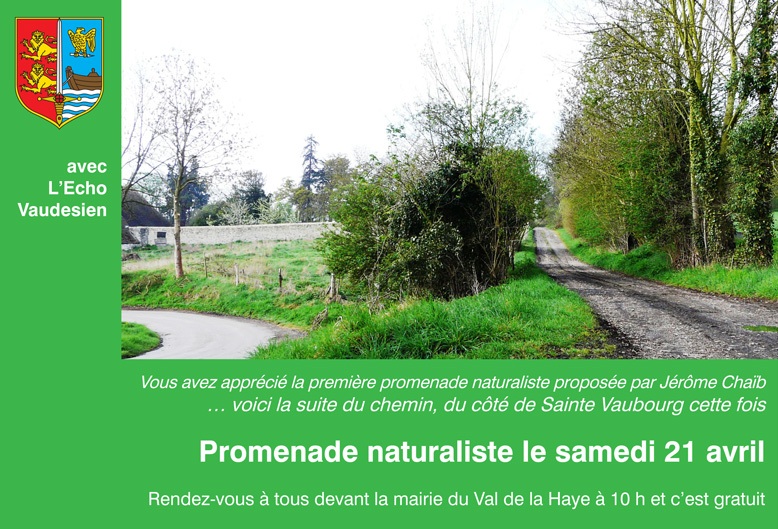 promenade
