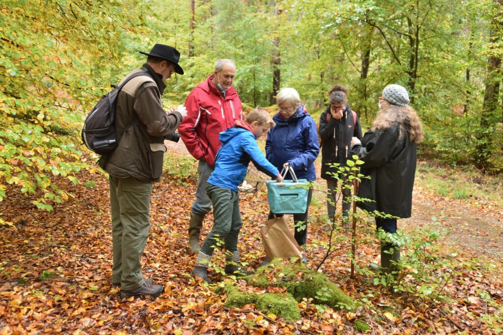 sortie champignons octobre 2020 - 10