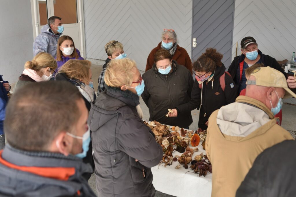 sortie champignons octobre 2020 - 3